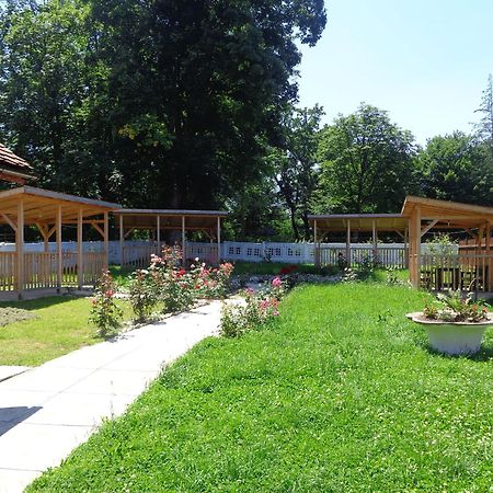 Pensiunea Radu Cisnădie Ruang foto