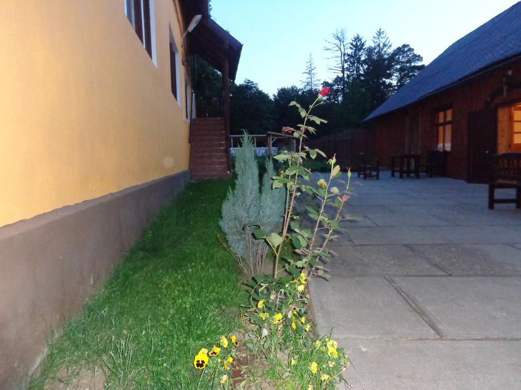 Pensiunea Radu Cisnădie Ruang foto